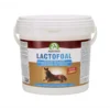 Audevard Lactofoal