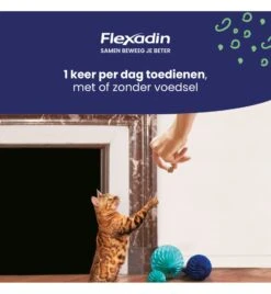 Flexadin Cat - 60 Chews -Populair Dierenwinkel flexadin cat 60 chews 1