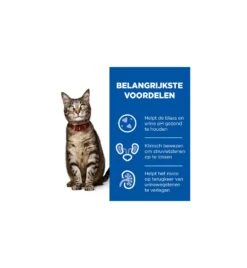 Hill's PD C/D Multicare Urinary Care Stoofpotje Met Kip & Groente - 24 X 82 Gram -Populair Dierenwinkel hill s pd cd multicare urinary care stoofpotje met kip groente 24 x 82 gram 3