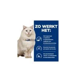 Hill's PD C/D Urinary Care Stress Stoofpotje Met Kip & Groente - 24 X 82 Gram 9 Hill's PD C/D Urinary Care Stress Stoofpotje Met Kip & Groente - 24 X 82 Gram -Populair Dierenwinkel hill s pd cd urinary stress urinary care stoofpotje met kip groente 24 x 82 gram 3