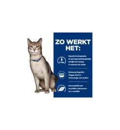 Hill's Prescription Diet K/D Kidney Care Met Tonijn - 1.5 Kg -Populair Dierenwinkel hill s prescription diet kd kidney care met tonijn 3