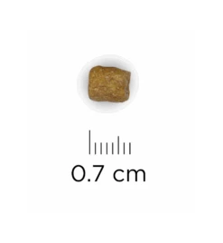 Hill's Prescription Diet L/D Liver Care - 1.5 Kg 6 Hill's Prescription Diet L/D Liver Care - 1.5 Kg -Populair Dierenwinkel hill s prescription diet ld liver care 15 kg 1