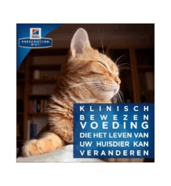 Hill's Prescription Diet R/D Weight Loss - 3 Kg -Populair Dierenwinkel hill s prescription diet rd weight reduction 3 kg 2