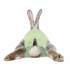 Medical Pet Shirt (Konijn) -Populair Dierenwinkel medical pet shirt konijn groen 2