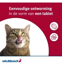 Milbemax Grote Kat -Populair Dierenwinkel milbemax grote kat 2