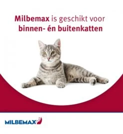 Milbemax Grote Kat -Populair Dierenwinkel milbemax grote kat 3