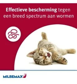 Milbemax Kleine Kat / Kitten -Populair Dierenwinkel milbemax kleine kat kitten 1