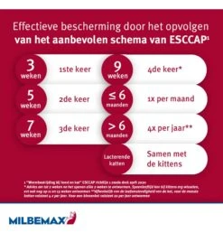 Milbemax Kleine Kat / Kitten -Populair Dierenwinkel milbemax kleine kat kitten 2