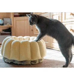 Petlando Ligmand Kat Vienna -Populair Dierenwinkel petlando ligmand kat vienna 1 2