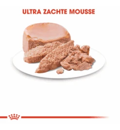 Royal Canin Mother & Babycat Mousse - 12 X 195 Gram -Populair Dierenwinkel royal canin mother babycat mousse 12 x 195 gram 2
