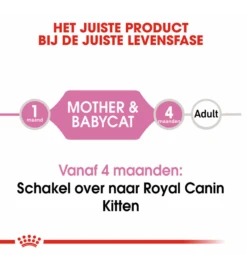 Royal Canin Mother & Babycat Mousse - 12 X 195 Gram -Populair Dierenwinkel royal canin mother babycat mousse 12 x 195 gram 4
