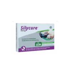 Silycure 40 Mg - 60 Tabletten
