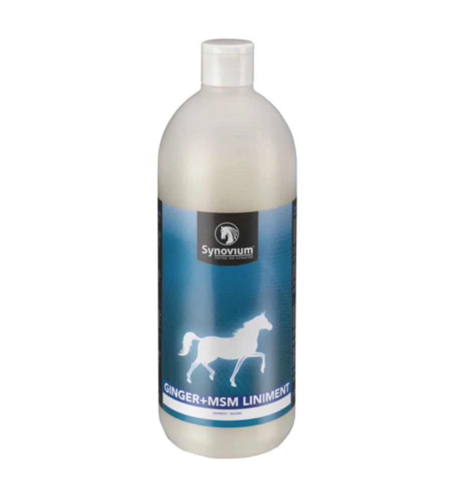 Synovium Ginger + MSM Liniment 1 Synovium Ginger + MSM Liniment