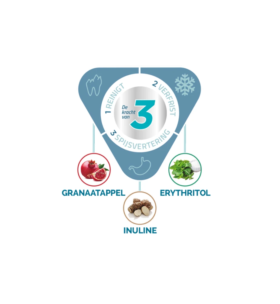 Virbac Vet Aquadent Fr3sh 2 Virbac Vet Aquadent Fr3sh - Afbeelding 2