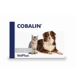 VetPlus Cobalin - 60 Capsules -Populair Dierenwinkel vetplus cobalin 60 capsules 2