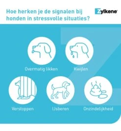 Vetoquinol Zylkène 75 Mg Capsules (- 10 Kg) -Populair Dierenwinkel zylkene 75 mg capsules 3