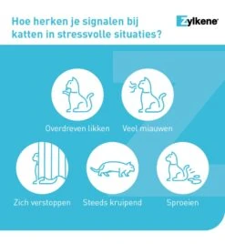 Vetoquinol Zylkène 75 Mg Capsules (- 10 Kg) -Populair Dierenwinkel zylkene 75 mg capsules 4